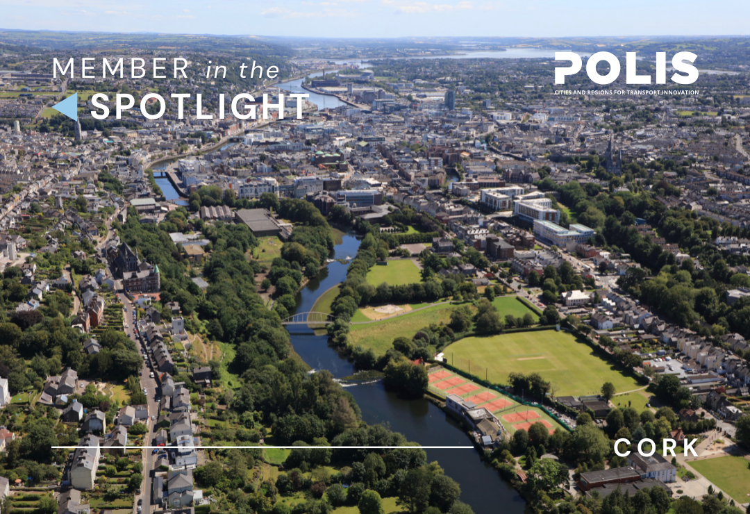 Member in the Spotlight: Cork