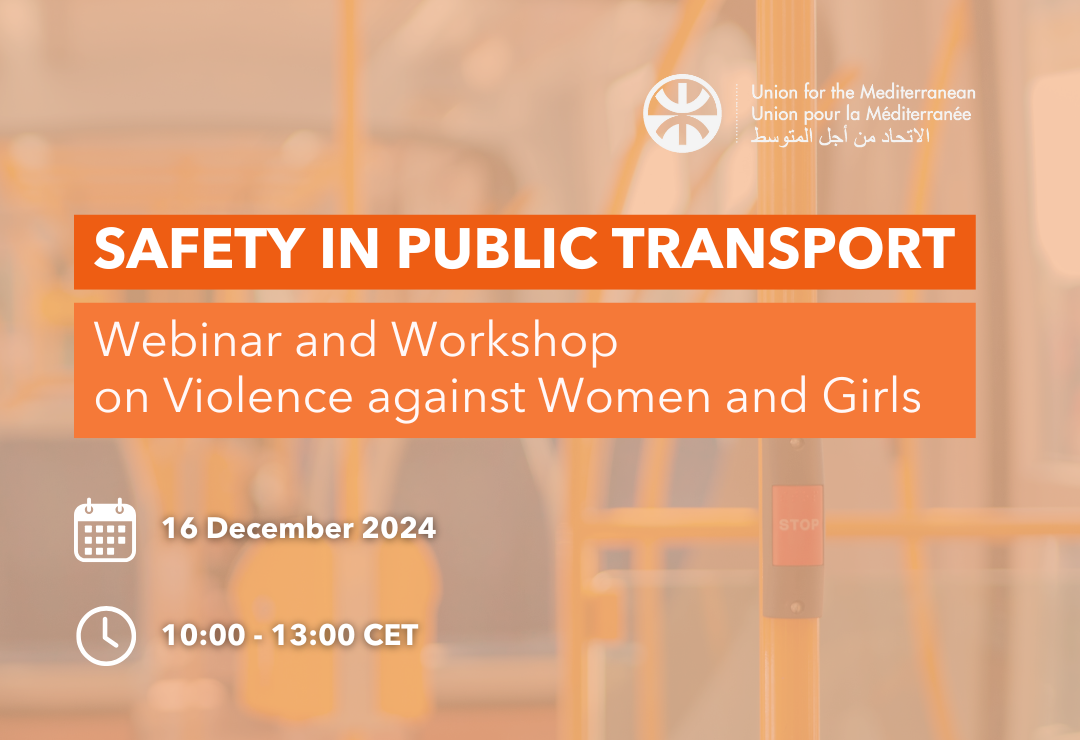 UfM Webinar and Workshop: Safety in Public Transport